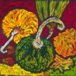 les-coloquintes-18x18